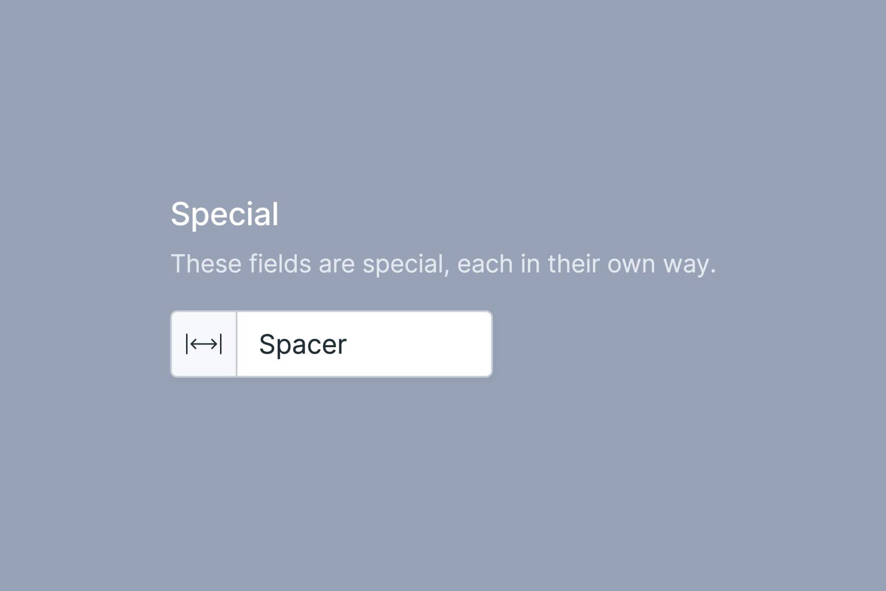 How to use the Spacer fieldtype in Statamic 4