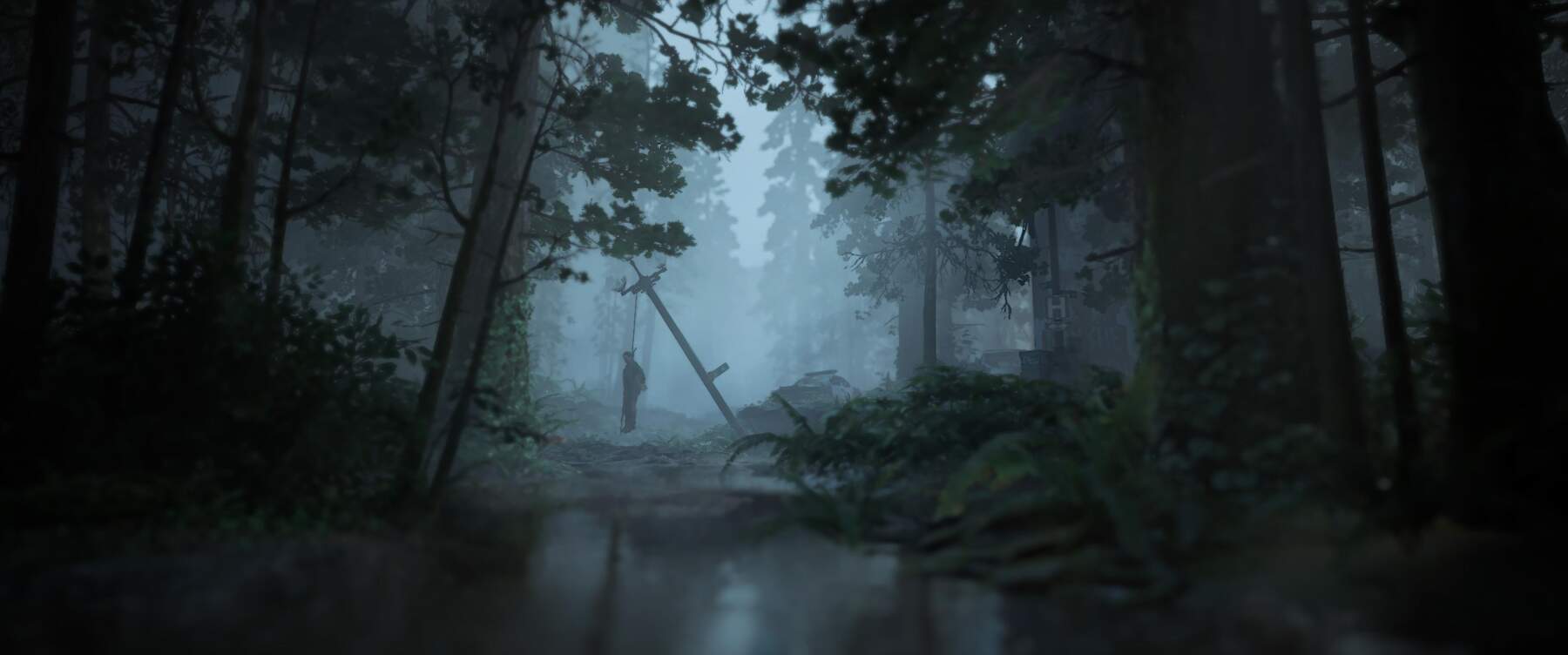 The Forest, in "The Last of Us: Part II", captured by Marty Friedel