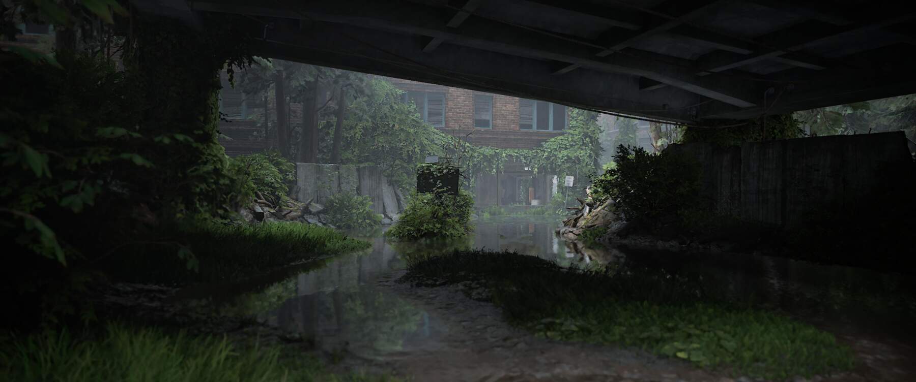Seattle, in "The Last of Us: Part II", captured by Marty Friedel